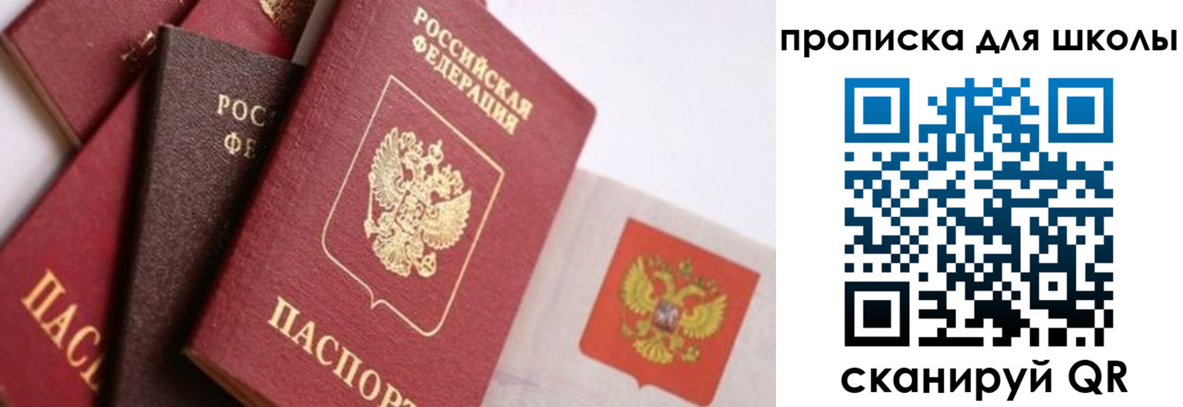 прописка поиск в Павлово